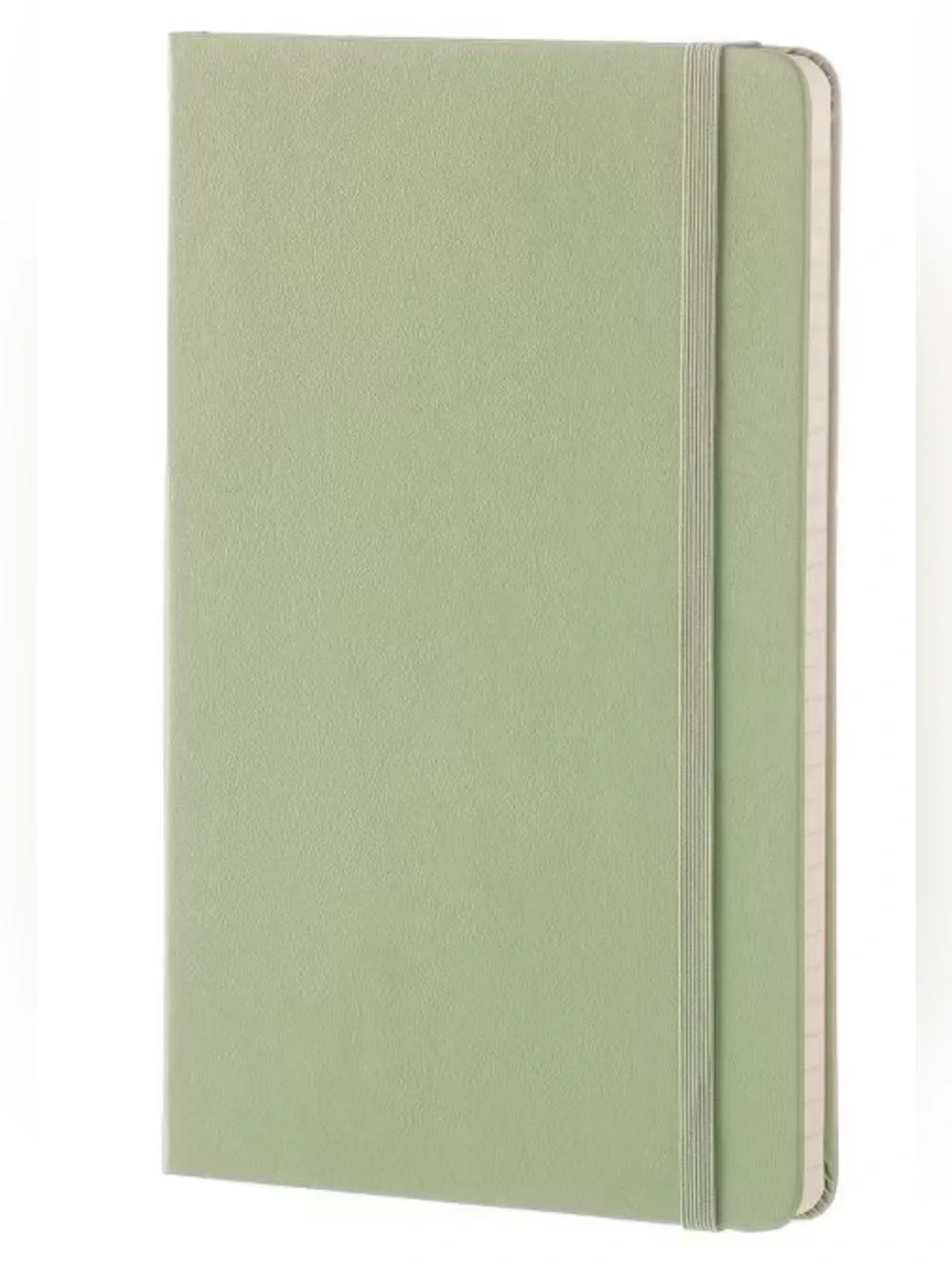 Moleskine Lined Hardcover Notebook Large 5